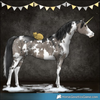 Horse Color:White Spotted Grullo Mushroom Sabino Brindle 