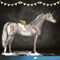 Horse Color:White Spotted Liver Red Dun Mushroom Brindle 