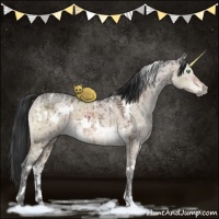 Horse Color:White Spotted Brown Ice Dun Mushroom Brindle 