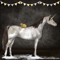 Horse Color:White Spotted Liver Red Dun Ice Brindle 