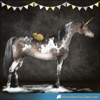 Horse Color:White Spotted Brown Dun 