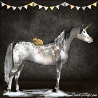 Horse Color:White Spotted Brown Ice Dun Splash