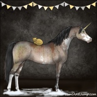 Horse Color:Brown Dun Sabino Brindle