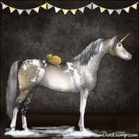 Horse Color:Gray White Spotted Brown Dun Mushroom Tobiano Brindle 