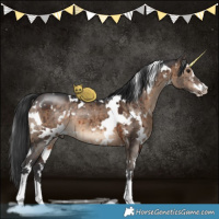 Horse Color:White Spotted Brown Dun Sabino Brindle 