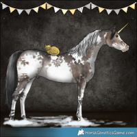 Horse Color:White Spotted Brown Dun Mushroom Sabino Rabicano