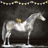 Horse Color:Gray White Spotted Brown Ice Dun Sabino Brindle