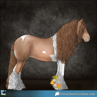 Horse Color:Liver Chestnut Pearl Tobiano