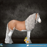 Horse Color:Silver Brown Pearl Sabino Splash