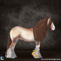 Horse Color:Bay Pearl Onyx Sabino 
