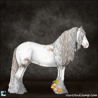 Horse Color:Liver Red Onyx Pearl Sabino 
