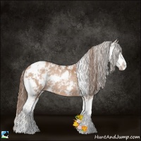 Horse Color:Brown Pearl Sabino 