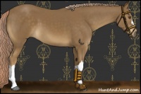 Horse Color:Chocolate Palomino Mushroom 