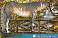 Horse Color:Silver Buckskin Mushroom Sabino 