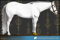 Horse Color:Smoky Black Mushroom Sabino Varnish 