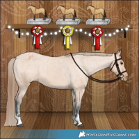 Horse Color:Bay Dun Varnish 