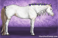 Horse Color:White Spotted Bay Dun Blanket Rabicano  and White Spotted Bay Dun Blanket Rabicano 