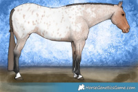 Horse Color:Bay Roan Blanket 