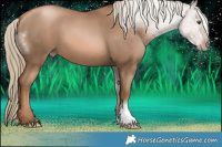 Horse Color:Liver Chestnut Pearl 