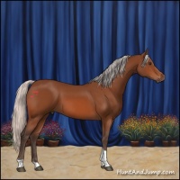 Horse Color:Silver Brown Tobiano 