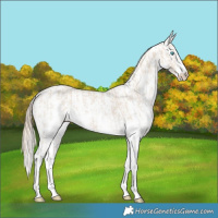 Horse Color:Smoky Creme Sabino  and White Spotted Smoky Creme Sabino 