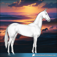 Horse Color:Gray Brown Sabino Splash Appaloosa  and Gray Buckskin Sabino Splash Appaloosa 