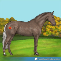 Horse Color:Silver Black 