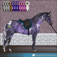 Horse Color:White Spotted Silver Black Chinchilla 
