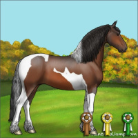Horse Color:Bay Tobiano 