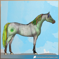 Horse Color:ERROR: UNKNOWN ANOMALY