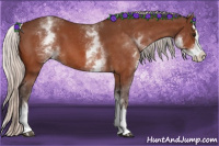 Horse Color:White Spotted Silver Bay Roan Splash 