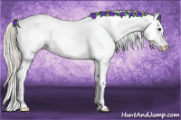 Horse Color:White Spotted Silver Bay Splash 
