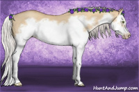 Horse Color:Silver Classic Champagne Dun Splash Frame 