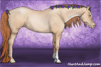 Horse Color:Gold Champagne Pearl Rabicano  and Sable Champagne Pearl Rabicano 