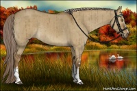 Horse Color:White Spotted Chocolate Palomino Dun Rabicano Brindle 