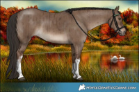 Horse Color:White Spotted Liver Red Dun Brindle 