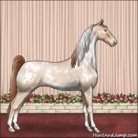 Horse Color:White Spotted Buckskin Roan Pearl 