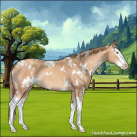 Horse Color:White Spotted Gold Champagne Splash 