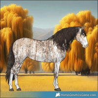 Horse Color:Liver Red Dun Sabino Rabicano  and Amber Champagne Dun Sabino Rabicano 