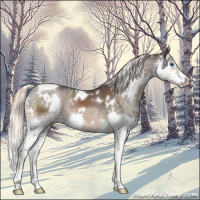 Horse Color:White Spotted Liver Chestnut Mushroom Splash Tobiano 