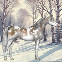 Horse Color:White Spotted Liver Chestnut Mushroom Splash Tobiano 