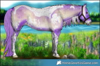 Horse Color:Watercolor White Spotted Liver Red Dun Onyx Tobiano Brindle 