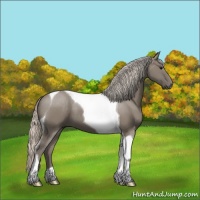 Horse Color:Silver Grullo Tobiano 