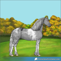 Horse Color:Silver Grullo Chinchilla Tobiano 