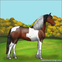 Horse Color:Brown Tobiano 