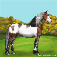 Horse Color:White Spotted Brown Frame 