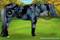 Horse Color:ERROR: UNKNOWN ANOMALY