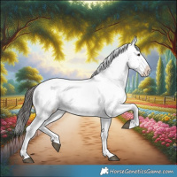 Horse Color:Brown Sabino Splash Appaloosa and Gray Brown Sabino Splash Appaloosa