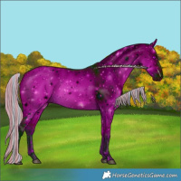 Horse Color:ERROR: UNKNOWN ANOMALY