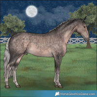 Horse Color:Platinum Chocolate Palomino 